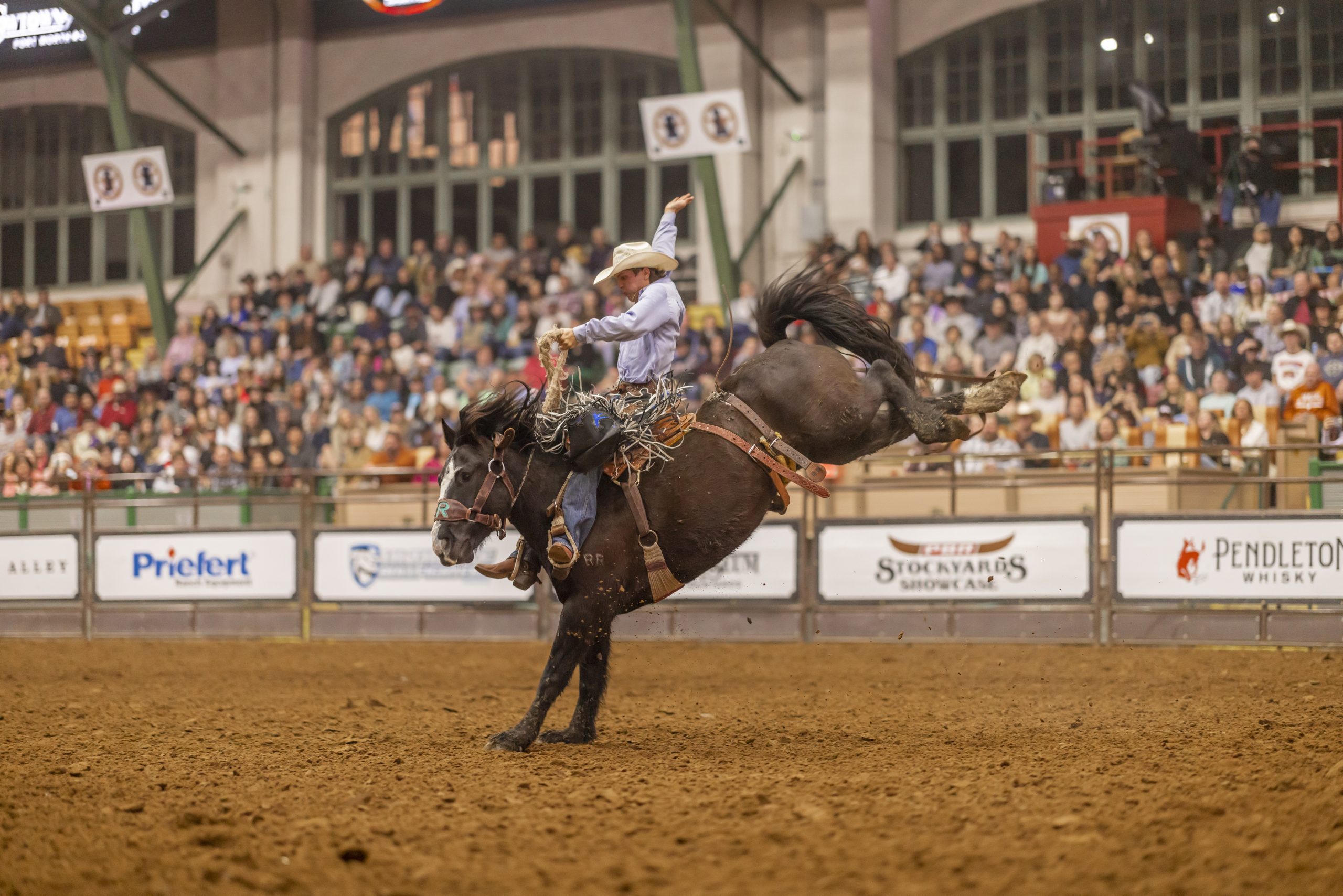 National Day  of the American Cowboy