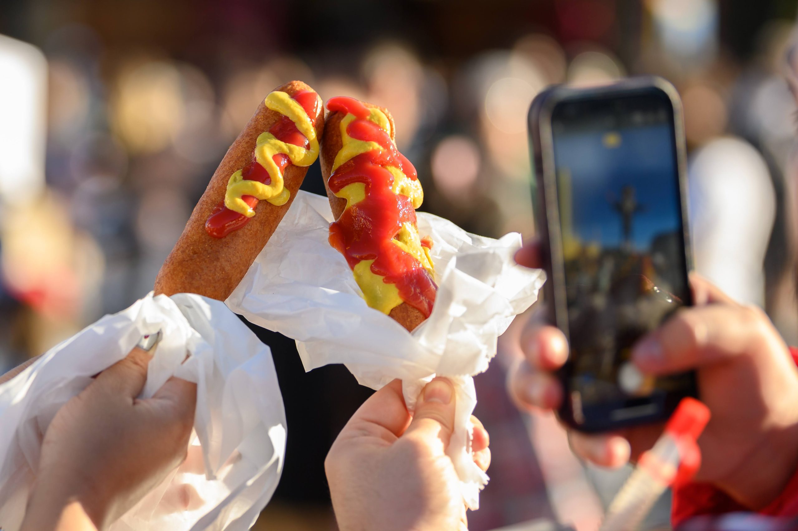 The State Fair of Texas 2024